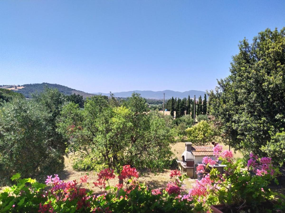 Agriturismo San Giorgino Grosseto Exteriér fotografie